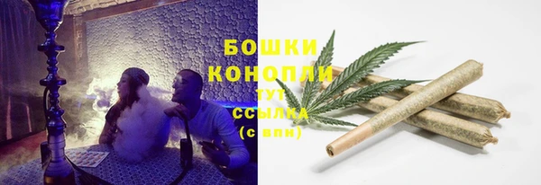 тгк Надым